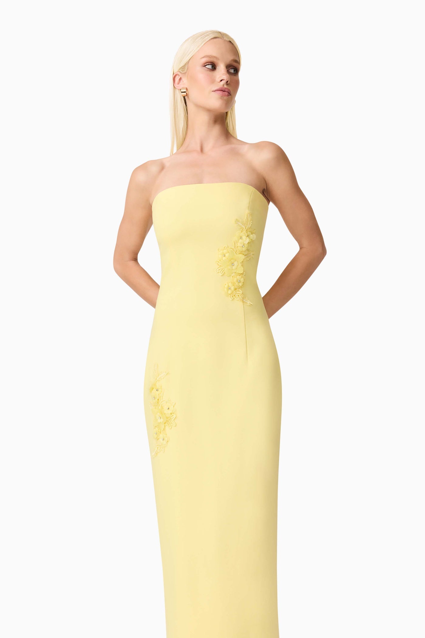Elliatt Evee Strapless Maxi Dress